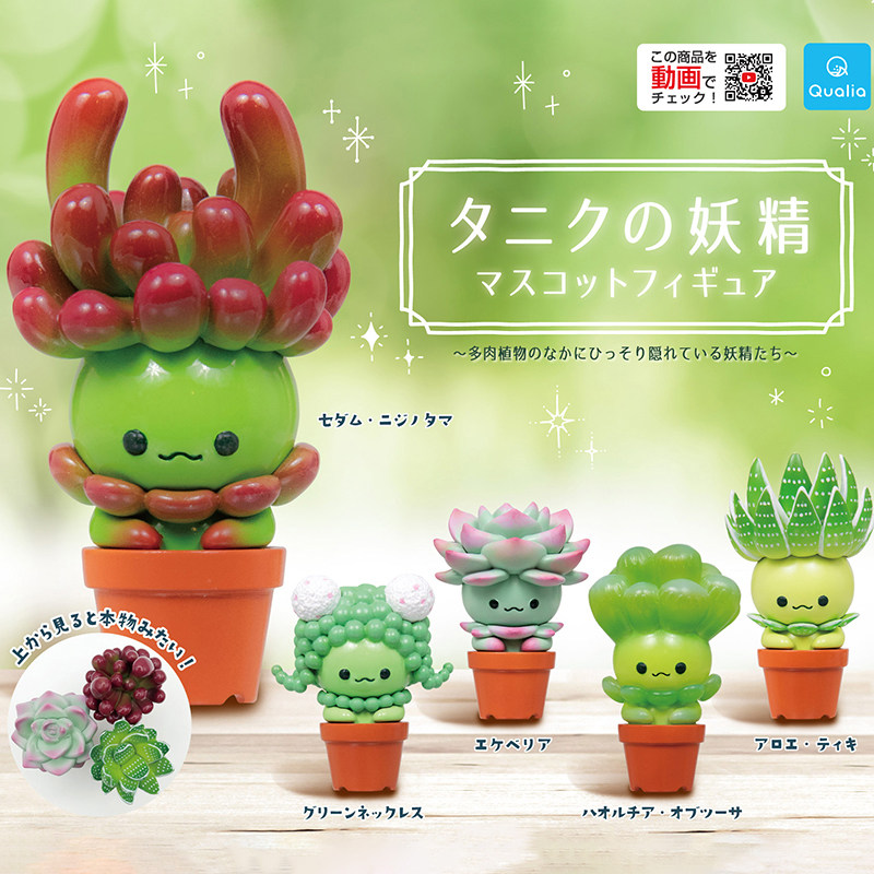 日本正版QUALIA多肉植物妖精公仔