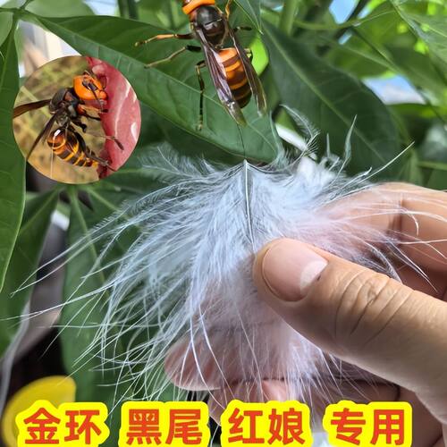 马蜂追蜂标白色白羽毛蜜蜂尾标拉丝专用黄脚神器红娘红米胡蜂青米