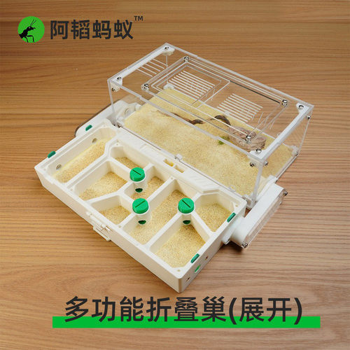 蚂蚁生态缸蚂蚁造景折叠生态平面蚁巢蚂蚁生态箱阿韬蚁巢蚂蚁平面