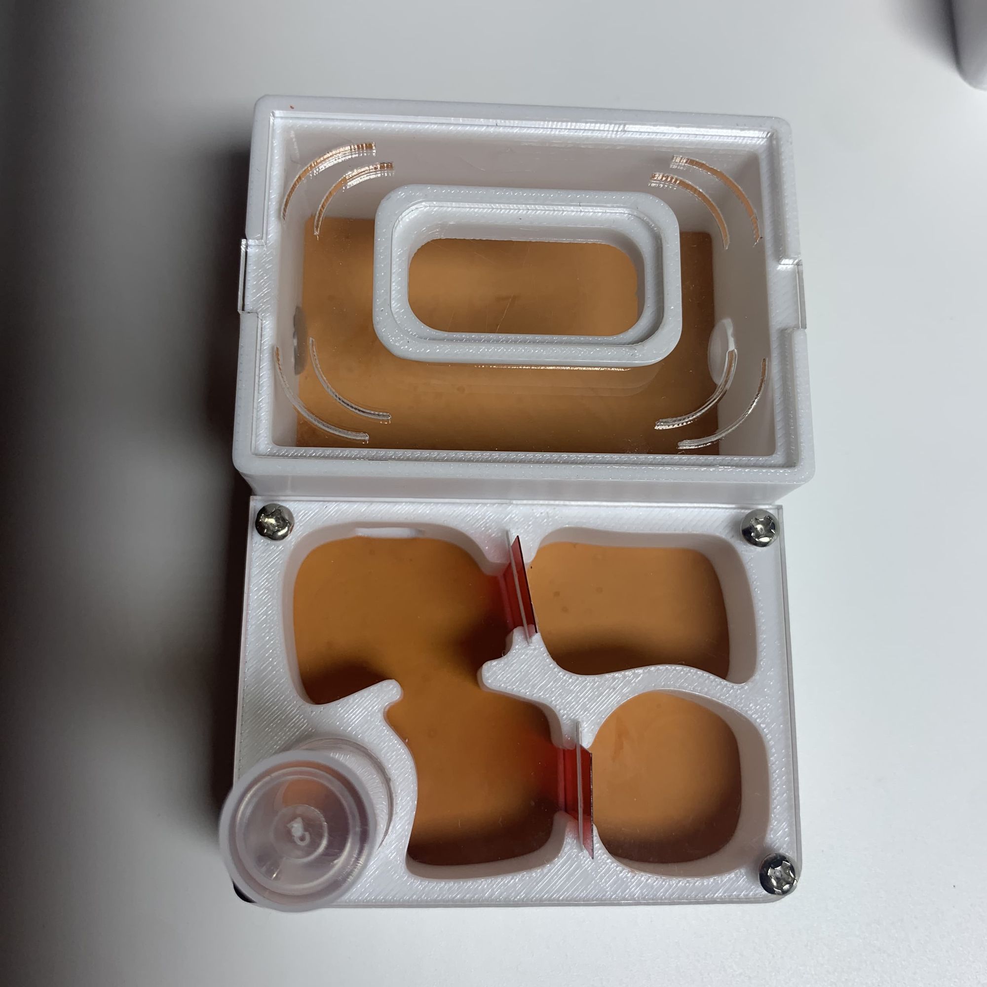 大生态蚁蚁窝宠物蚂蚁平面巢带保湿水塔小群新后猛蚁弓背蚁收获蚁