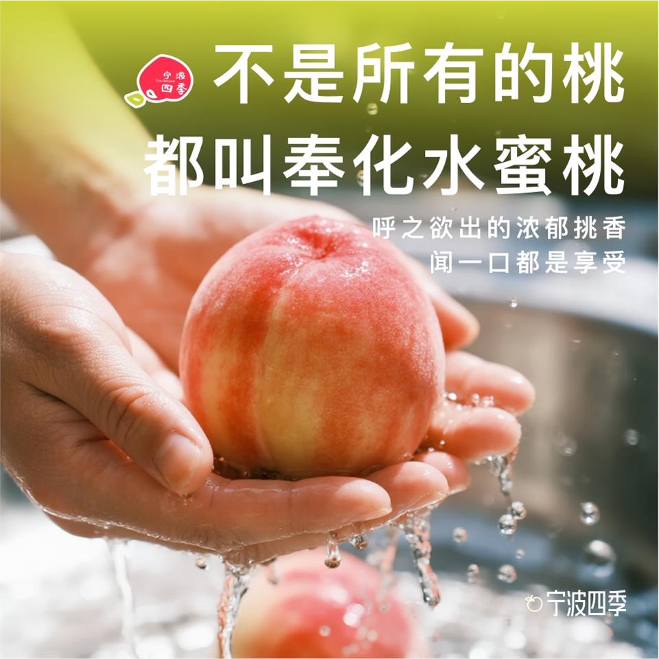 正宗奉化水蜜桃产地现摘