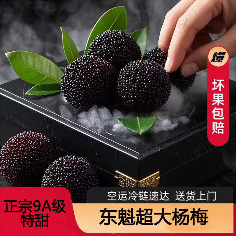 【正宗9A级特甜】顺丰东魁超大杨梅冰鲜现发孕妇水果冰冻泡酒送礼