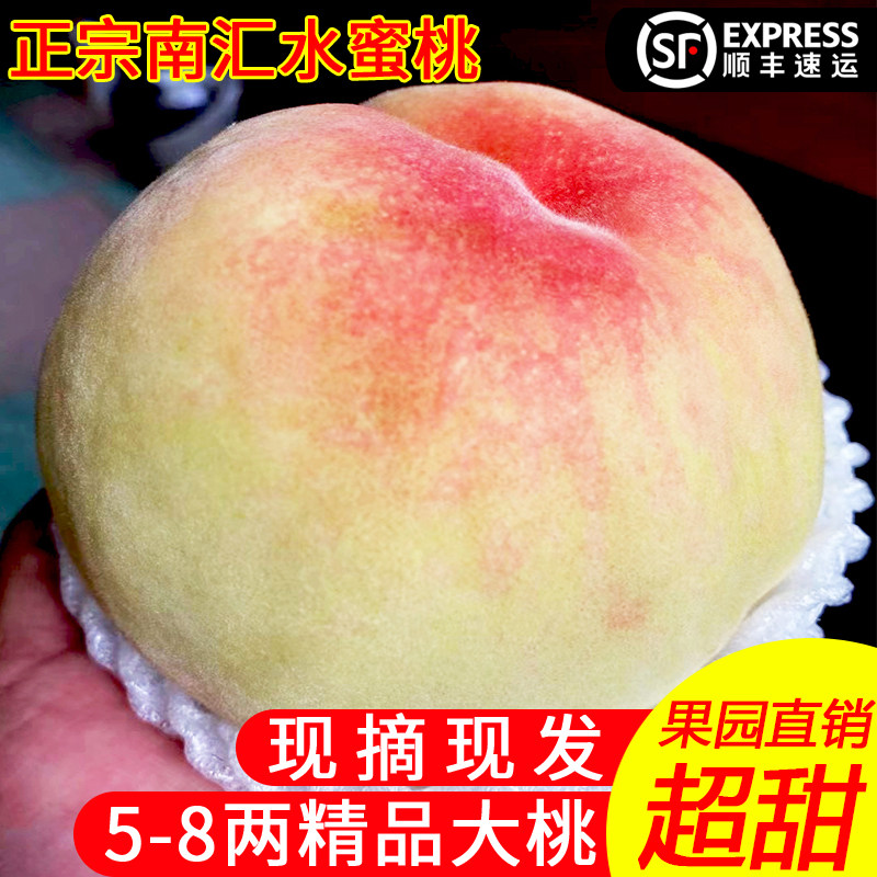 正宗南汇水蜜桃大团蜜露