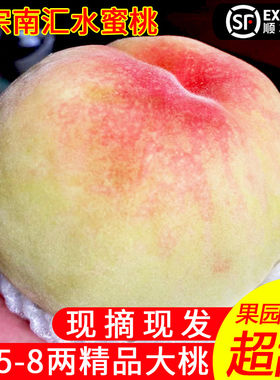 正宗南汇水蜜桃大团蜜露