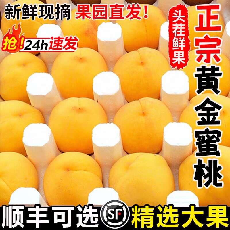 黄桃新鲜水果山东蒙阴现