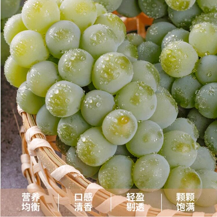 【汁水多】有籽水晶葡萄