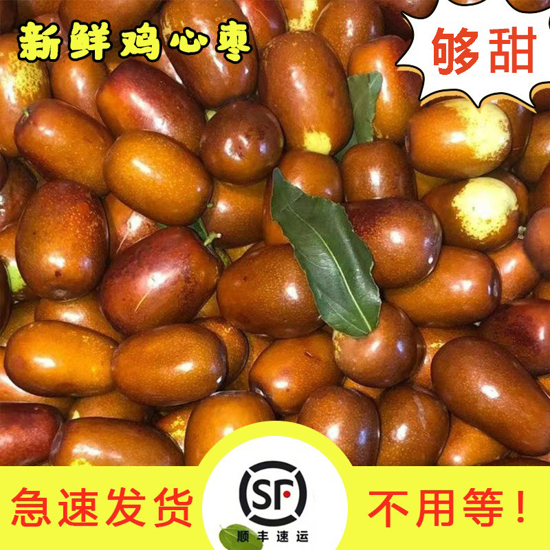 【枣园直发】脆甜鸡心枣当季新鲜水果大红枣长枣子宁夏灵武冬枣子