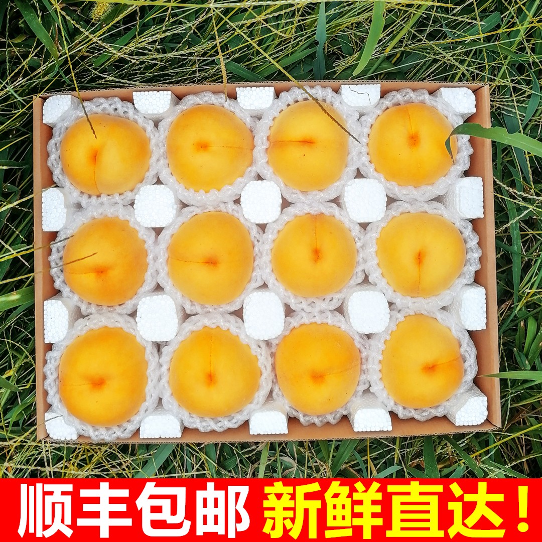 黄桃新鲜水果山东蒙阴黄