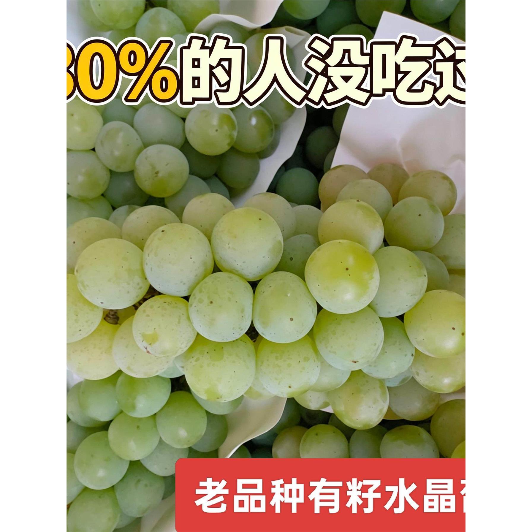 【很多人没吃过】新鲜高