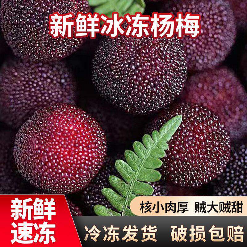 新鲜野生冰冻杨梅泡酒专用酸杨梅正宗高山水果当季冰冻青红全红果