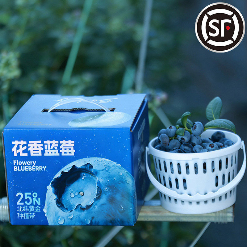 云南蒙自花香蓝莓 高海拔脆甜爆汁 顺丰空运 新鲜直达 500g/桶