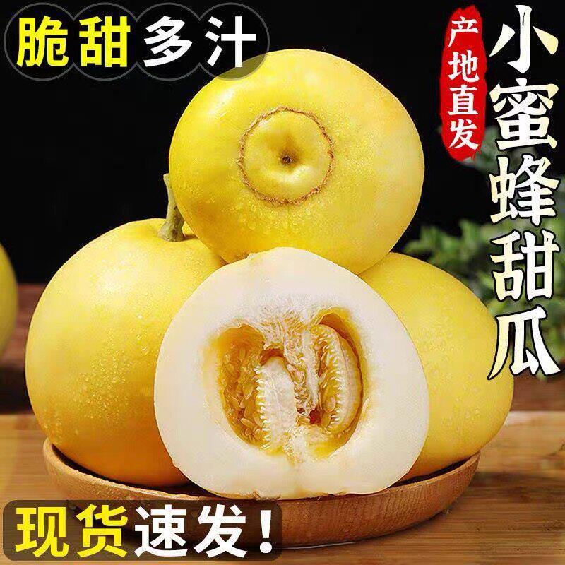 现货直发小蜜蜂甜瓜星甜20蜜罐香瓜当季新鲜现摘水果甜香薄皮