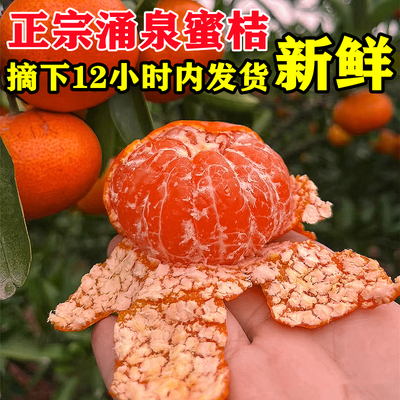 正宗临海涌泉蜜桔黄岩橘子新鲜当季水果整箱10斤无核甜桔子旗舰店