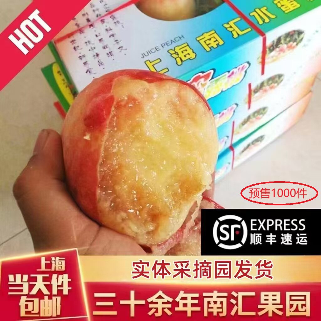 南汇水蜜桃桃侬桃业12个
