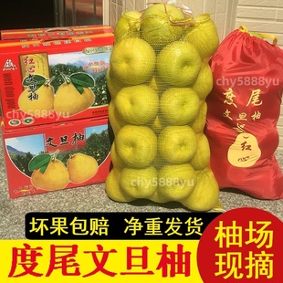 {当天发货}正宗度尾红心文旦柚福建莆田仙游小青柚台湾柚子蜜柚