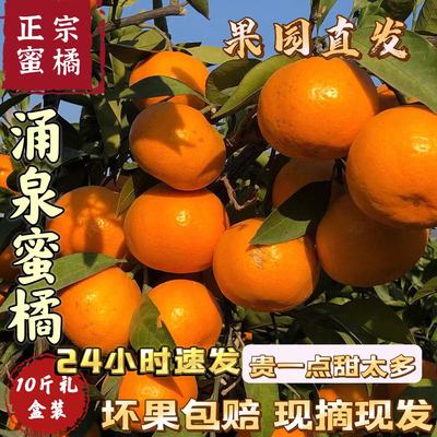 临海涌泉蜜桔子当季新鲜水果10斤装黄岩礼盒无核早熟包邮高山现摘