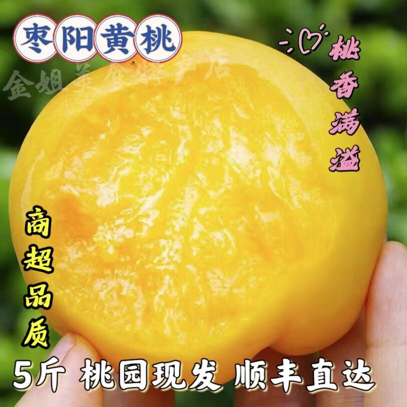湖北枣阳黄桃蜜新鲜当季