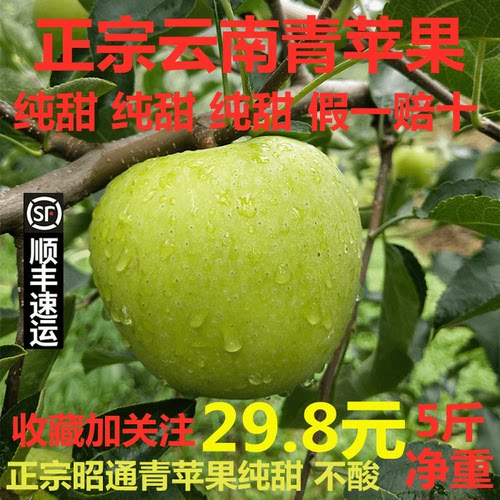 现摘云南昭通正宗小青香