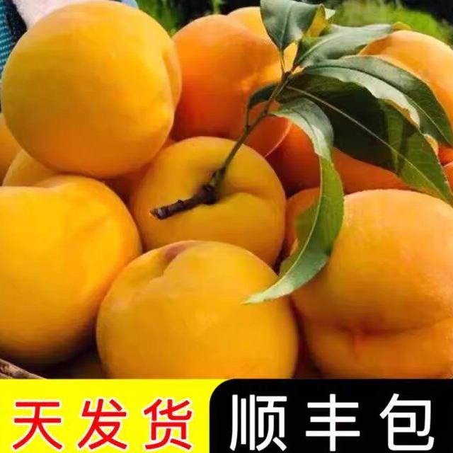 正宗锦绣黄桃新鲜水果福