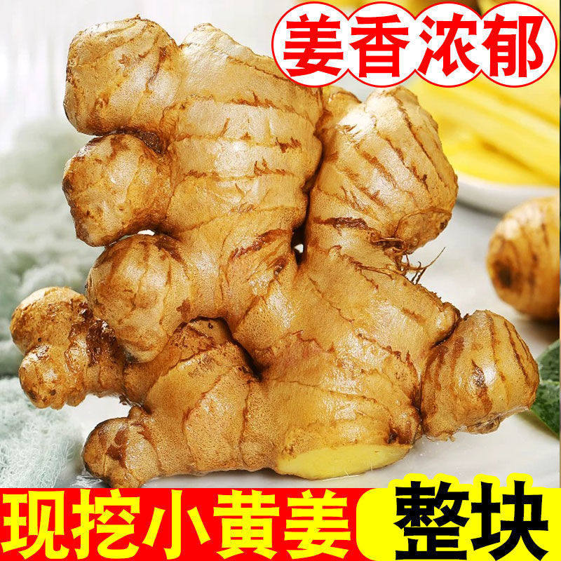 云南新小黄姜9斤新姜生姜新鲜黄姜土姜现挖子姜嫩姜鲜姜嫩姜包邮