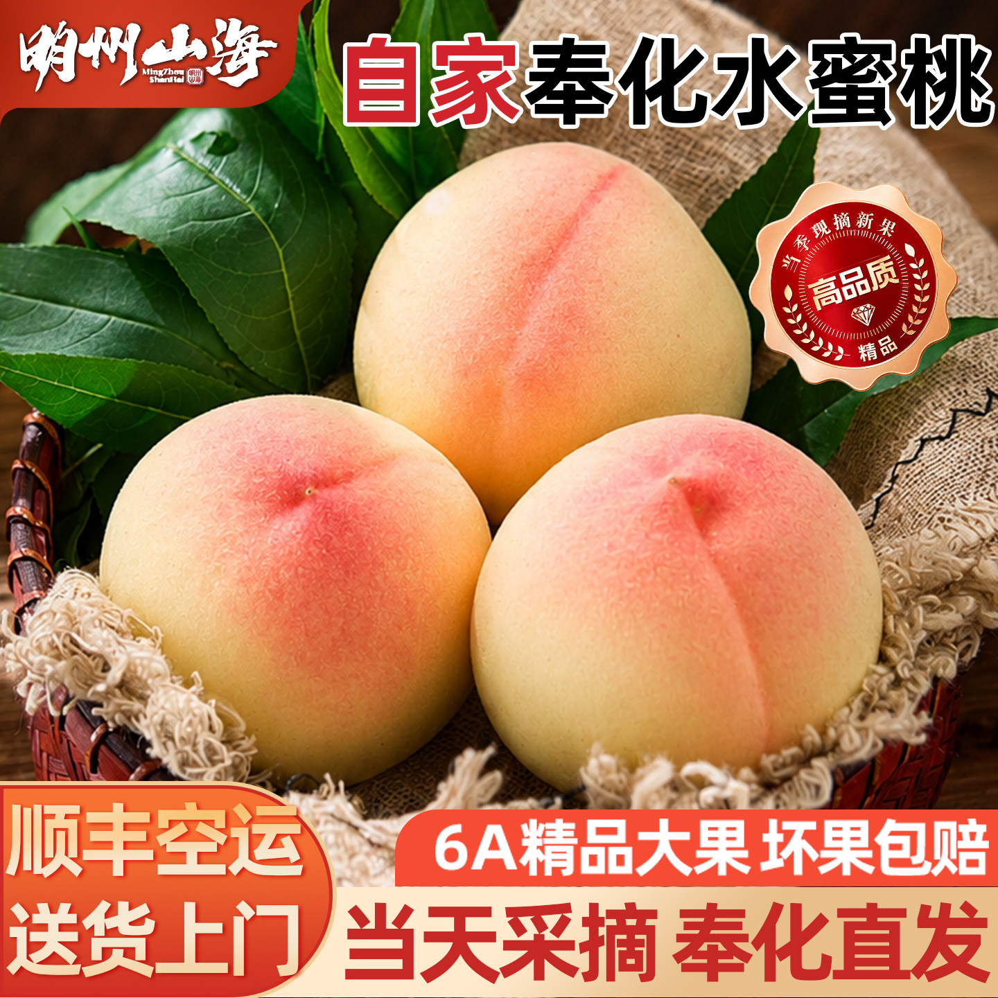 正宗水蜜桃奉化新鲜桃子