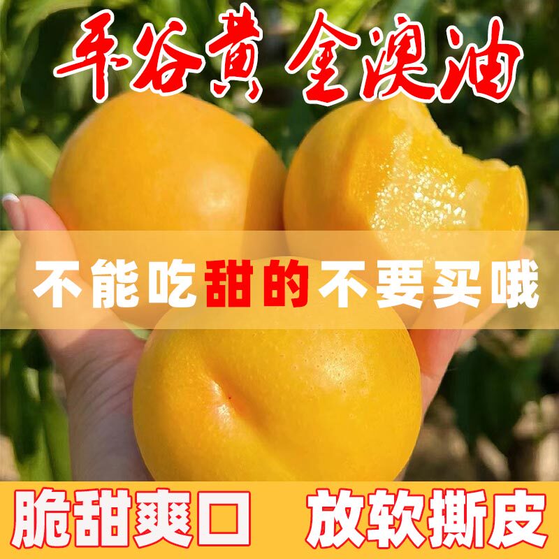黄桃黄金油桃澳油新鲜水