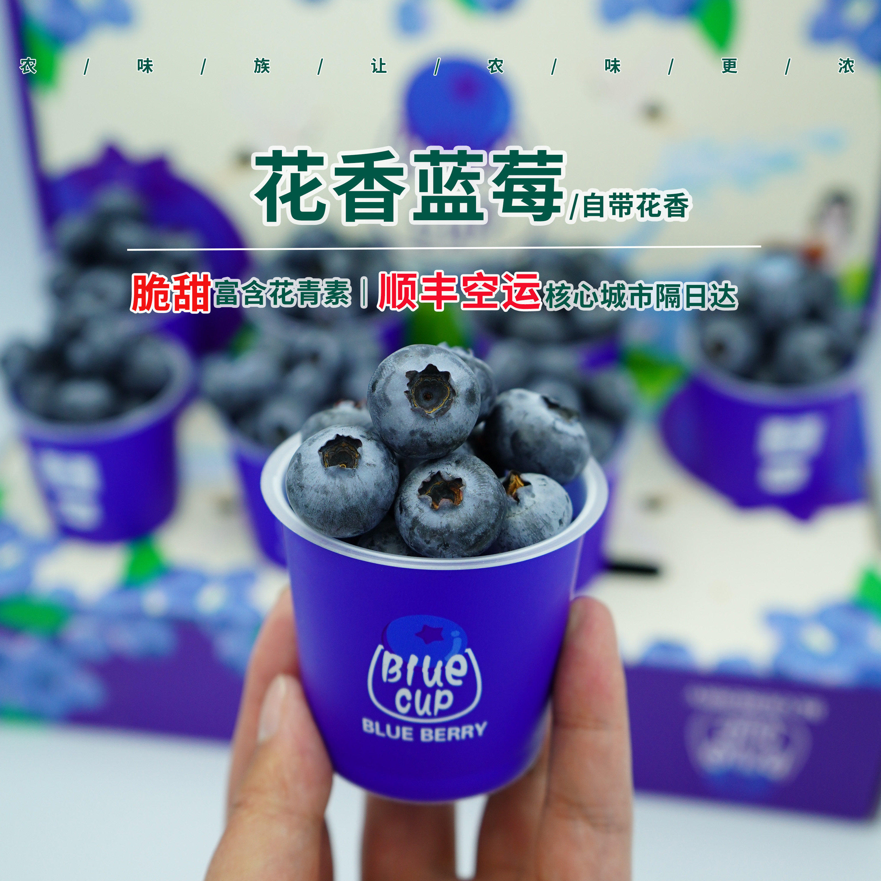 云南花香蓝莓小蓝杯蓝莓小懒杯超大蓝莓鲜果起购高山孕妇宝宝水果