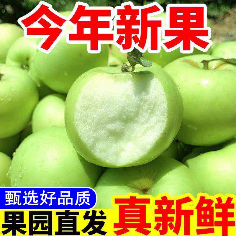 青苹果新鲜水果整箱应当
