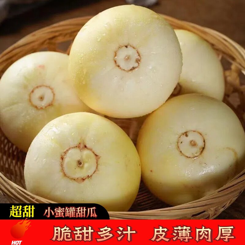 正宗山东小蜜罐甜瓜新鲜现摘水果香瓜星甜瓜应季小蜜蜂蜜瓜