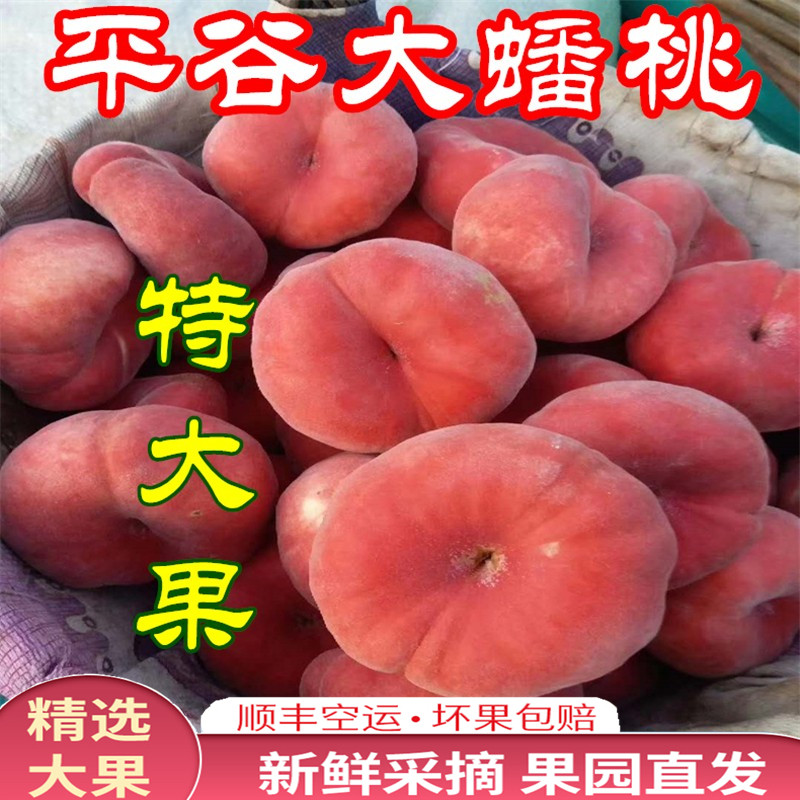 正宗北京蟠桃水蜜桃子新