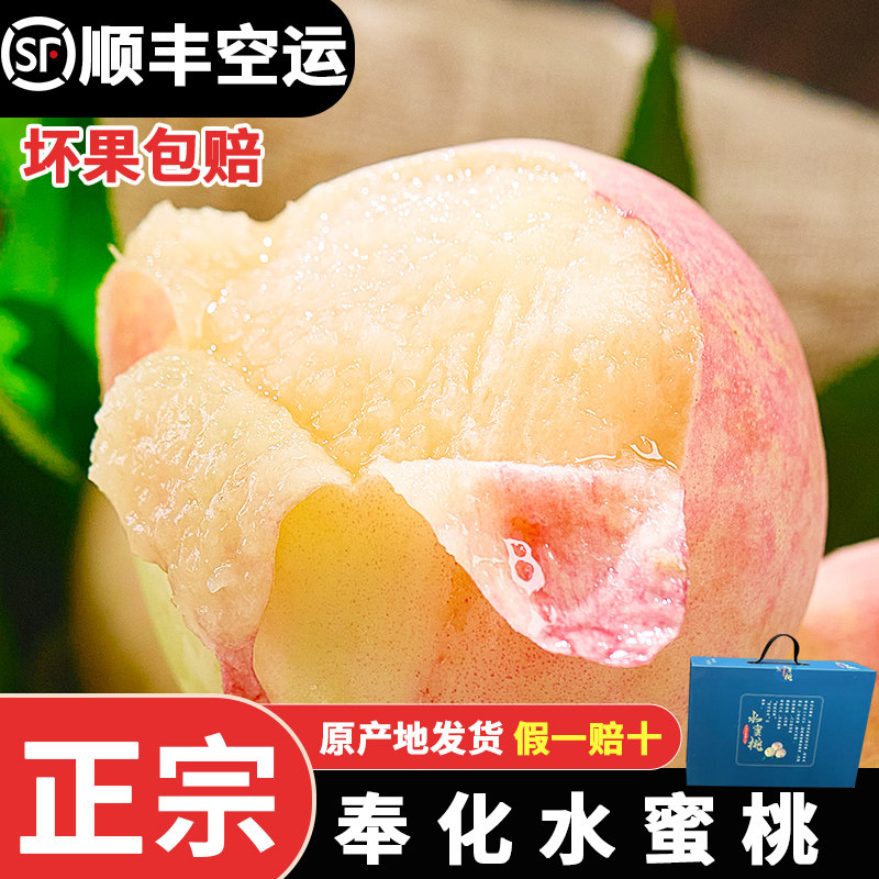 奉化水蜜桃正宗果园现摘