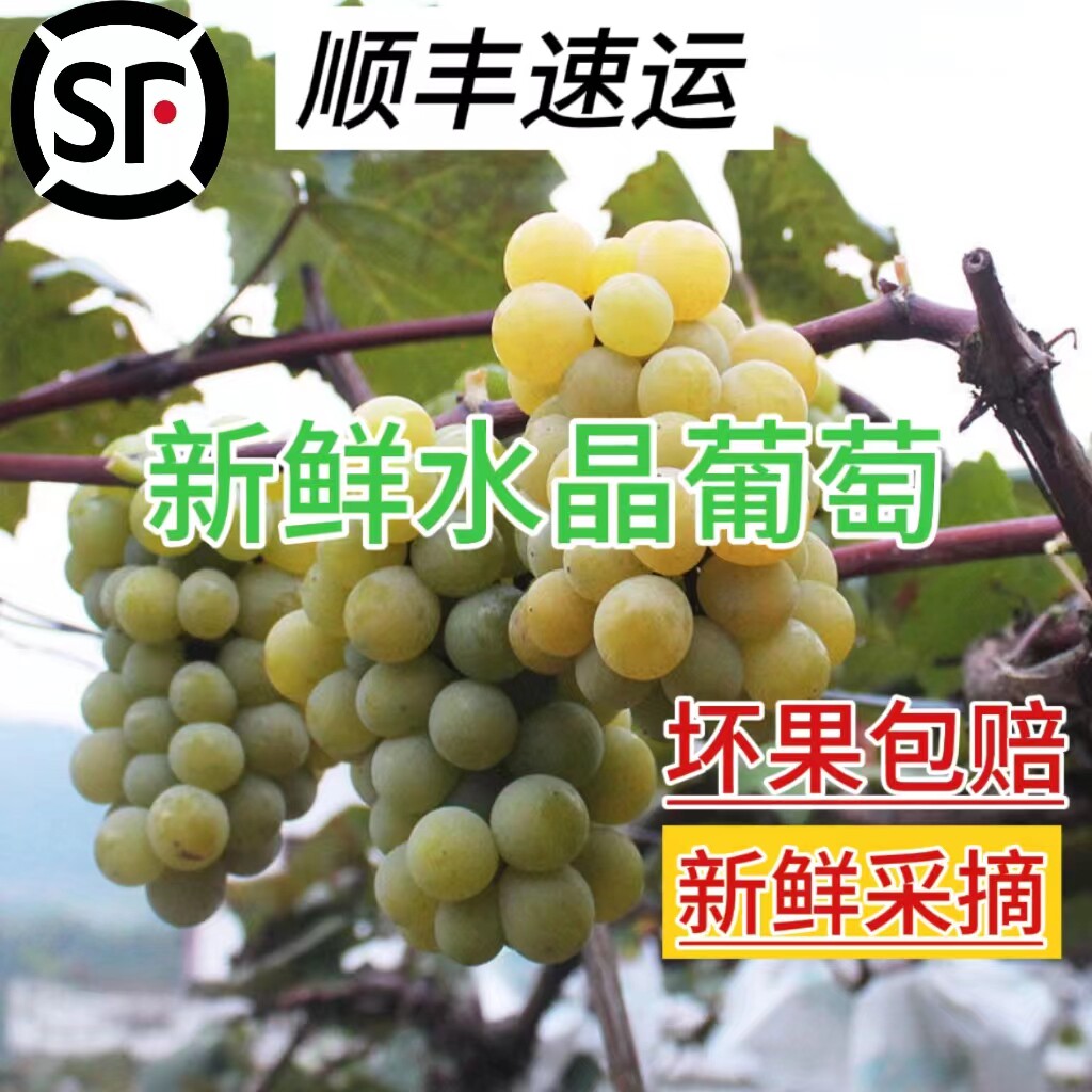【顺丰速运】湖南水晶葡