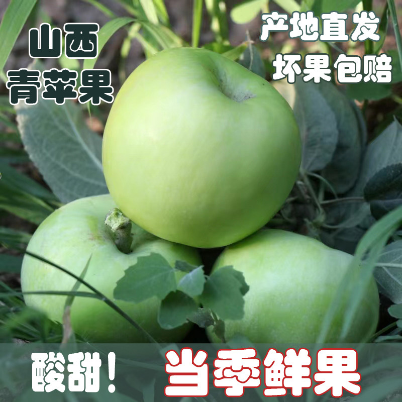 2026现摘青苹果水果新鲜