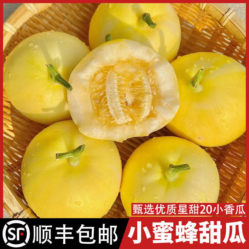 超级甜!山东小蜜蜂甜瓜正宗星甜20小香瓜小蜜罐新鲜孕妇应季水果