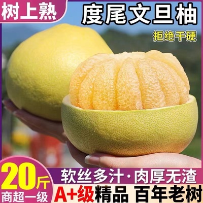 福建莆田仙游度尾红心文旦正宗老树柚子现摘现发小孩孕妇老人水果