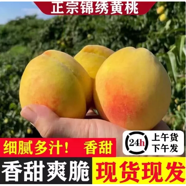 2026现摘高山锦绣黄桃包