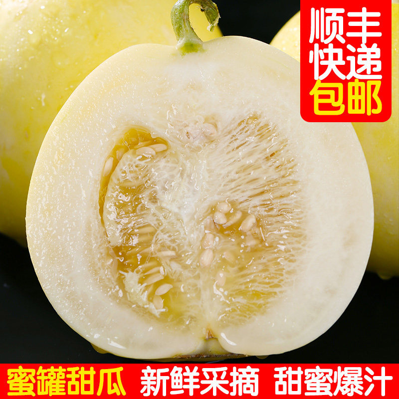 山东蜜罐甜瓜星甜20小蜜蜂甜瓜现摘农家香瓜脆甜多汁新鲜顺丰包邮
