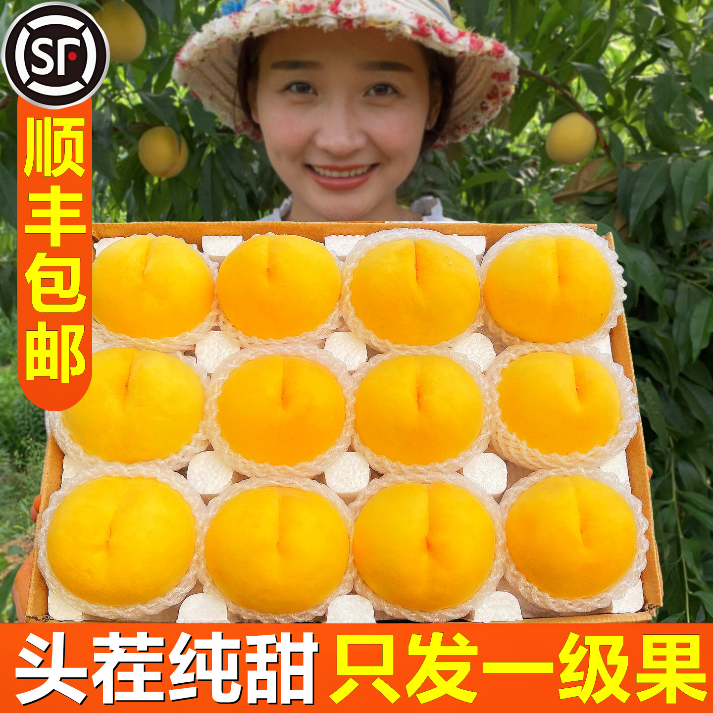 黄桃新鲜水果山东蒙阴现