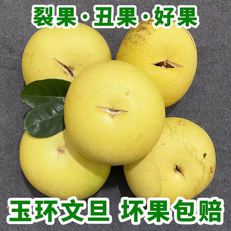 玉环文旦裂果开口笑柚子新鲜水果台州玉环楚门白心蜜柚孕妇水果
