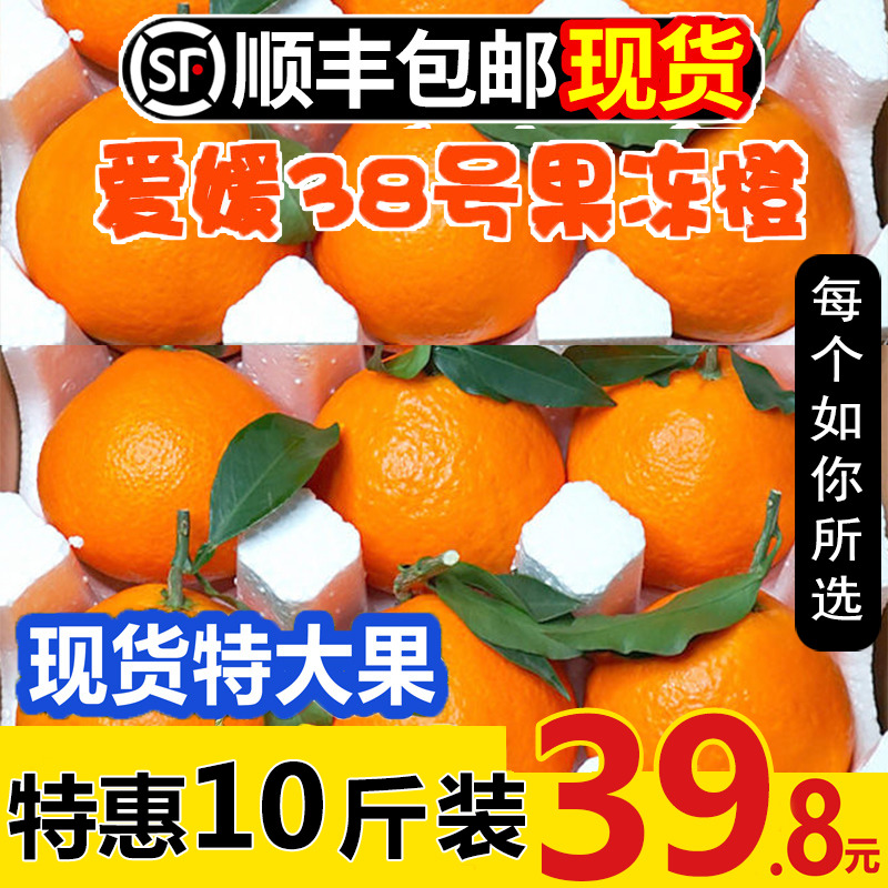 四川爱媛9斤眉山新鲜当季应季