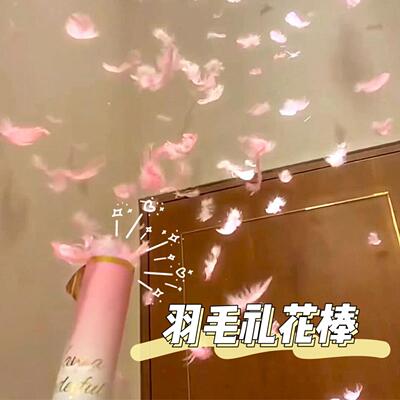 马卡龙羽毛手持礼炮05