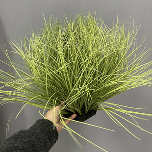 仿真草装饰 蒲草 草丛 狗尾草 芦苇草 室内店铺造景装饰假草