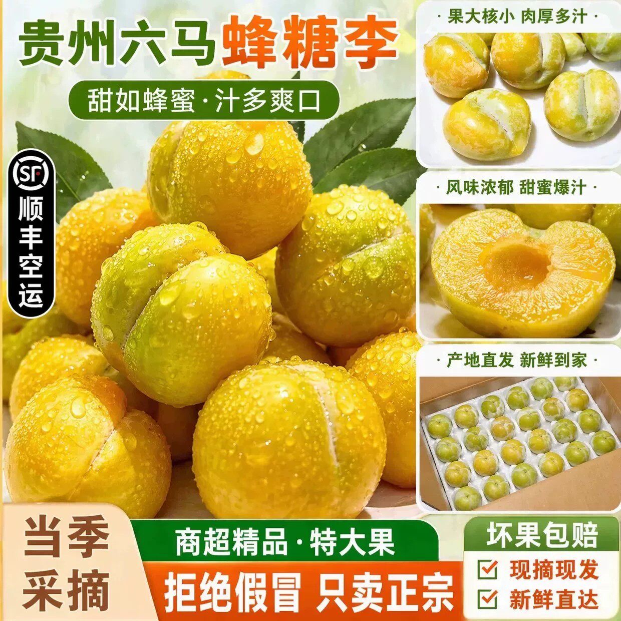 新鲜贵州六马蜂糖李脆甜