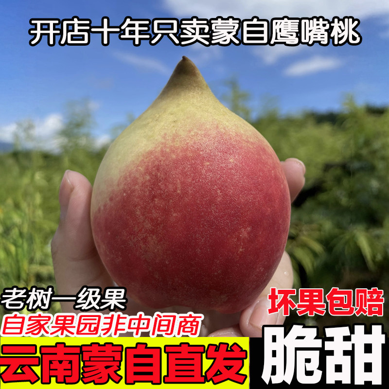 云南蒙自鹰嘴桃新鲜水果5