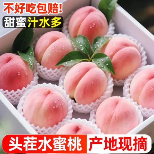现摘春雪水蜜桃新鲜水果当季特大应季桃子整箱大桃子时令脆桃毛桃