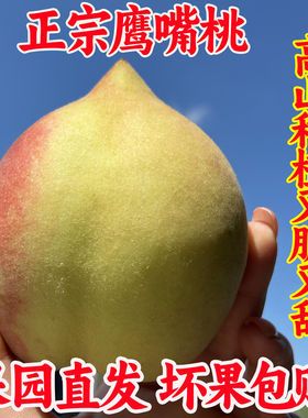 正宗高山鹰嘴桃新鲜当季