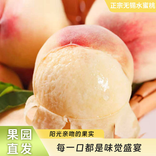 正宗无锡白凤水蜜现货阳