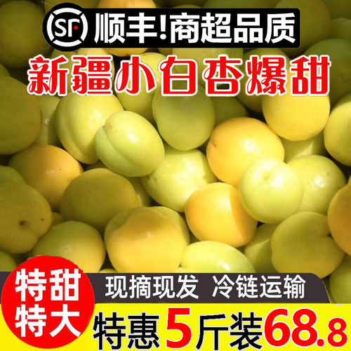 新疆小白杏新鲜当季现摘现发