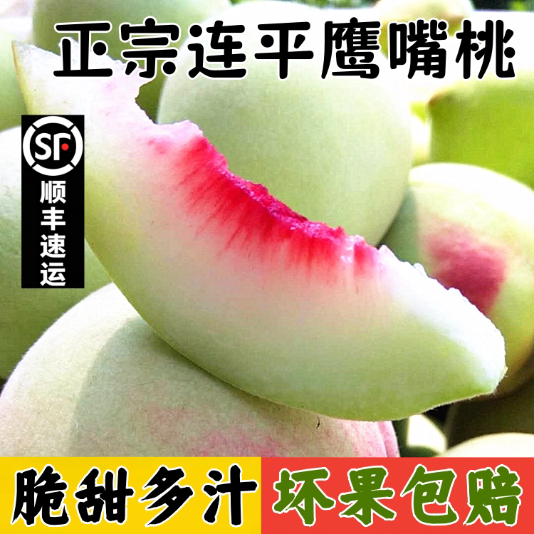 顺丰现摘河源连平上坪鹰