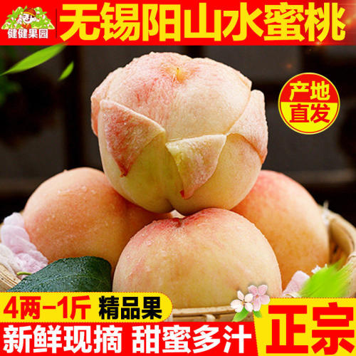 正宗无锡阳山水蜜桃新鲜采摘桃子当季水果整箱湖景白凤旗舰店礼盒